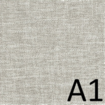 A1